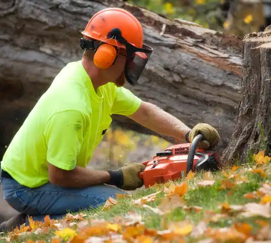 tree services Indianola